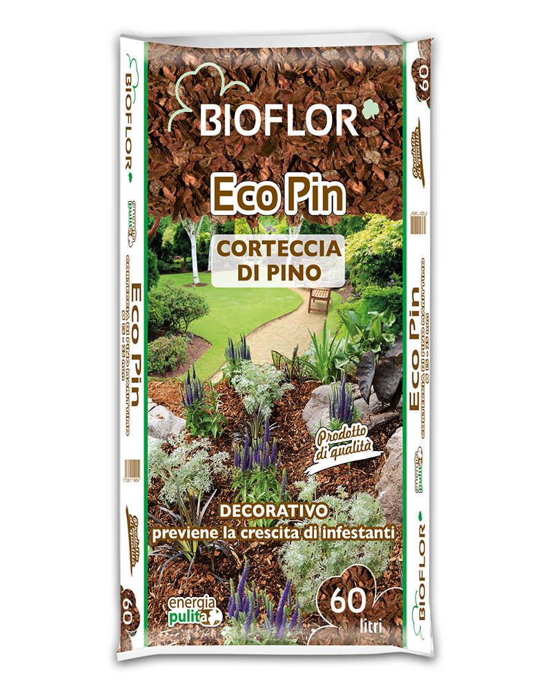 Eco Pin Pino marittimo 15-25