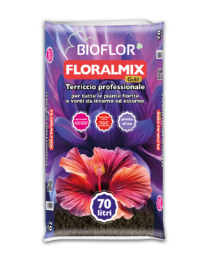 Floral Mix Gold