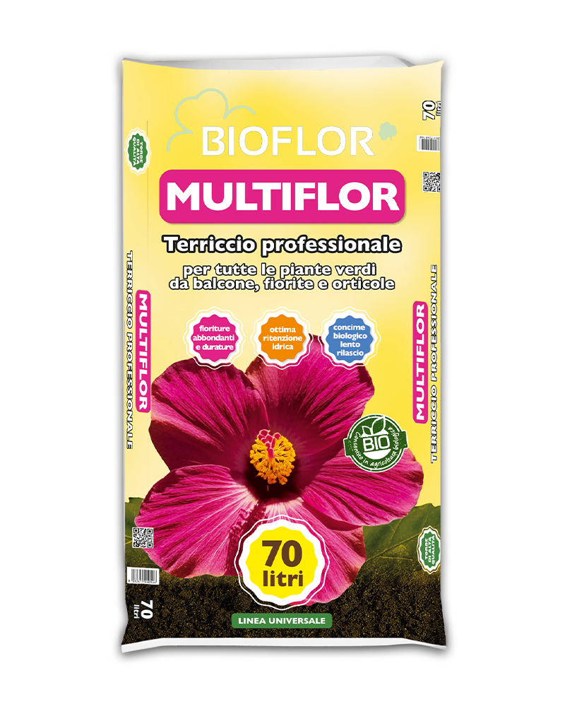 Multiflor