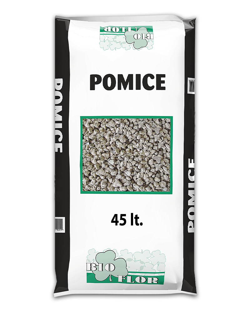 Pomice