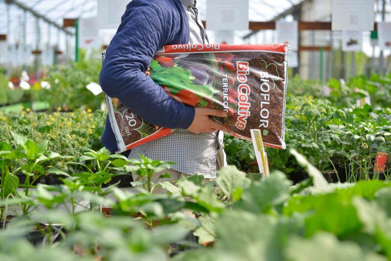 Bioflor - BioColtivo in garden - Terriccio