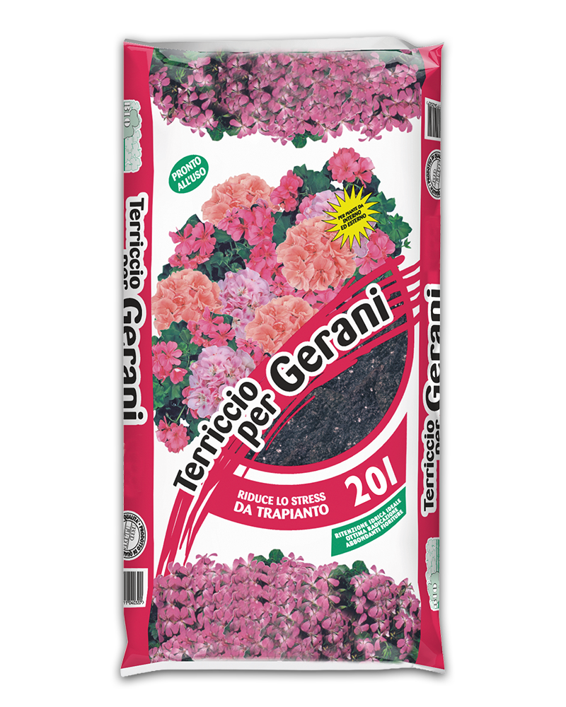 Gerani