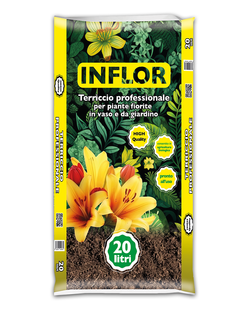 Inflor