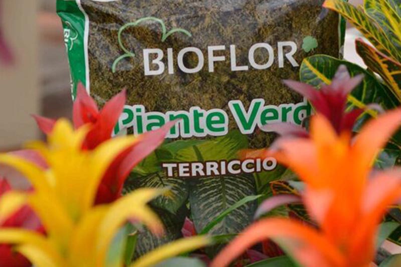 Bioflor-a-San-Biagio-di-Callalta-Treviso-13