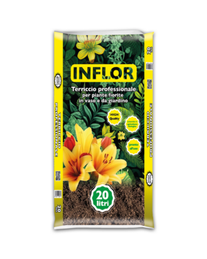 Inflor